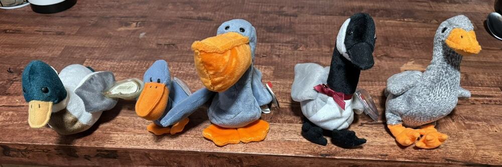Five TY Beanie Baby Birds: Scoop (2), Loosy, Jake & Honks
